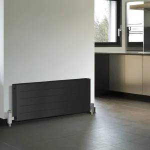 King — A Radiator Boutique, signed by RADOX
